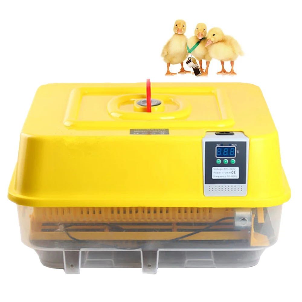 Автоматический мини инкубатор 39 яиц цифровой прозрачный с поворотом контроль