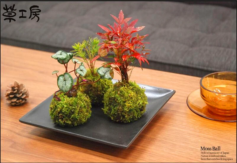 Увлажняющее питательное органическое удобрение 10 г|Принадлежности для