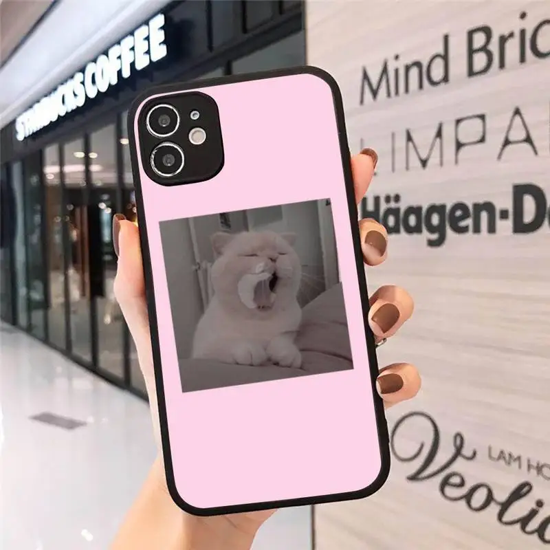 

cat dog animal cute Phone Case Matte Transparent for iPhone 7 8 11 12 s mini pro X XS XR MAX Plus cover funda