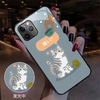 meow cats call light led flash case for iphone 11 12 pro 8 7 6 6s plus xs max xr x phone cases tempered glass back cover coque