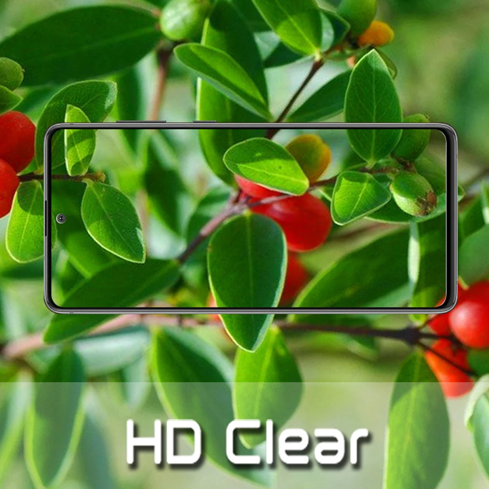 Защитное стекло для galaxy note 10 lite протектор экрана с объективом камеры samsung note10 Light