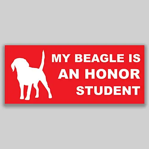 Для My Beagle-это честь студента виниловая наклейка на окно автомобиля бампер 2-Pack