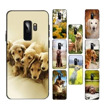 labrador dog phone case for samsung galaxy s 20lite s21 s21ultra s20 s20plus for s21plus 20ultra