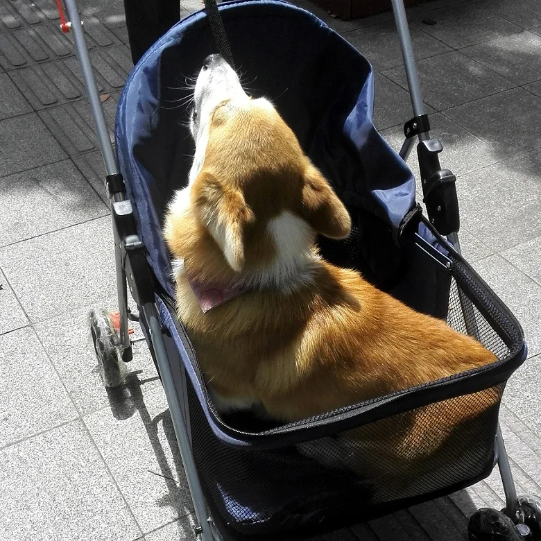 20 кг Складная собачья кошка коляска для питомцев большое пространство дышащие