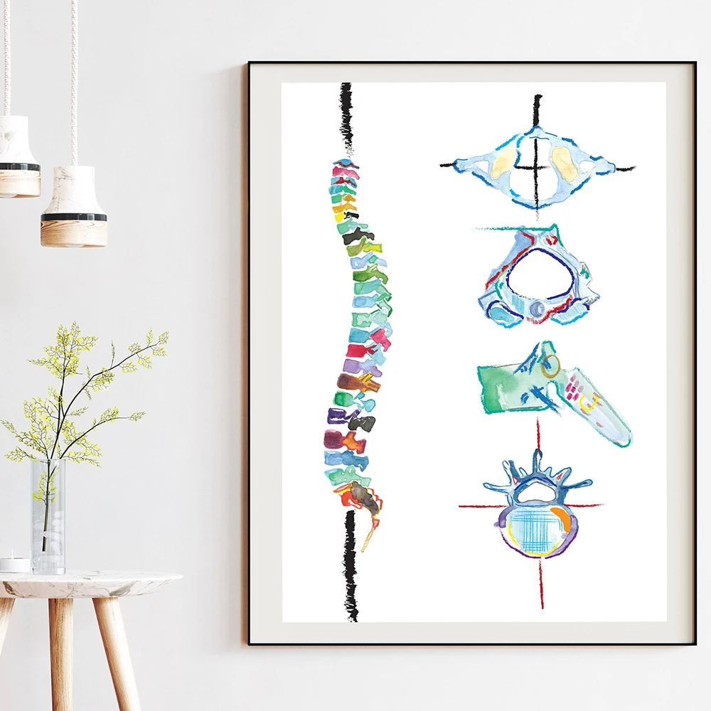 

Human Spine Anatomy Poster Canvas Print Watercolor Painting for Doctor Office Vertebral Column Medical Education Wall Art