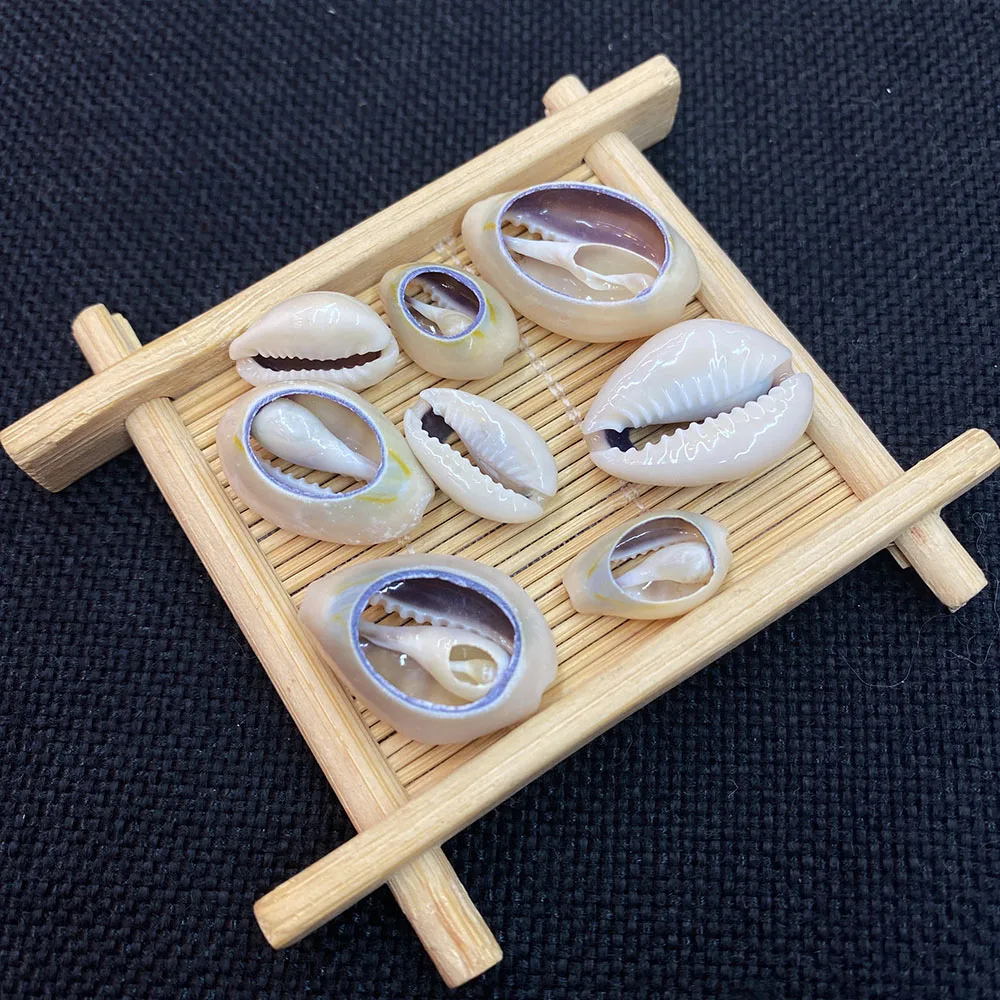 Подвеска из натуральных ракушек Размер 15-25 мм для изготовления ювелирных изделий