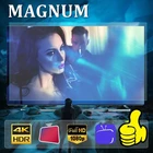 Защитная пленка для экрана Magnum 4k 1080p HD