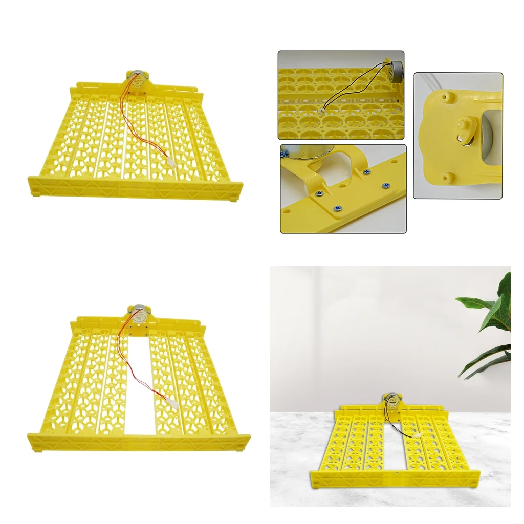 Лоток для взбивания яиц лоток птицы гусиных птиц яичник с контролем температуры