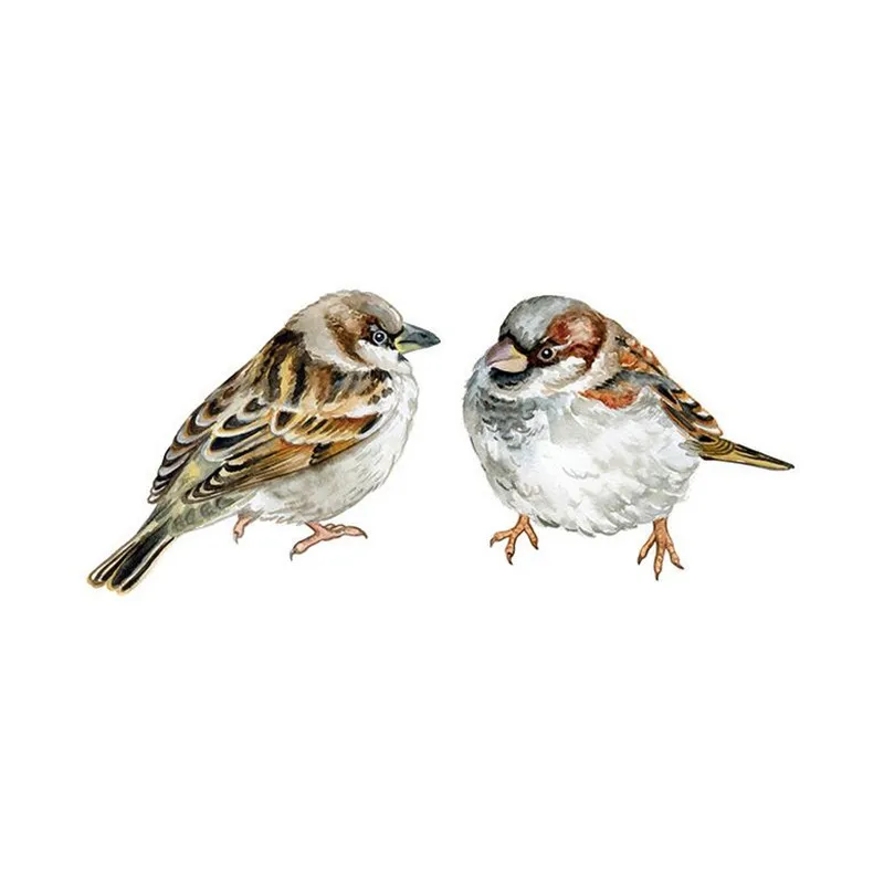 Vivid Hand painted bird Wall Sticker window living room bedroom decorations wallpaper Mural stickers | Stickers