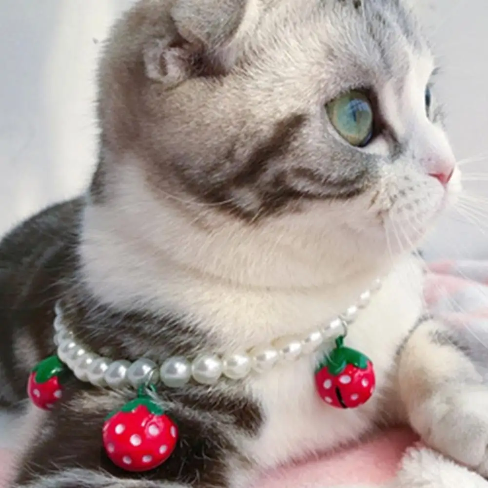 

Модный ошейник для домашних животных, ювелирные изделия, износостойкий привлекательный ошейник для домашних животных, деликатная клубника