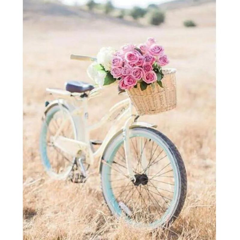 

Алмазов картина велосипедов и Цветочная корзина 5D камни в форме ромба картина из мозаики и бриллиантов и стразы Алмазная вышивка Декор G628