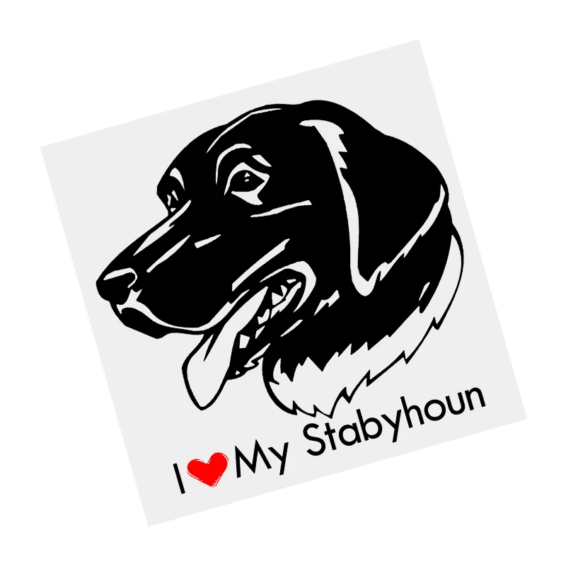 

S61669# Stabyhoun Dog Black Transparent Car Sticker Vinyl Decal Waterproof Decors for Motorcycle Bumper Laptop