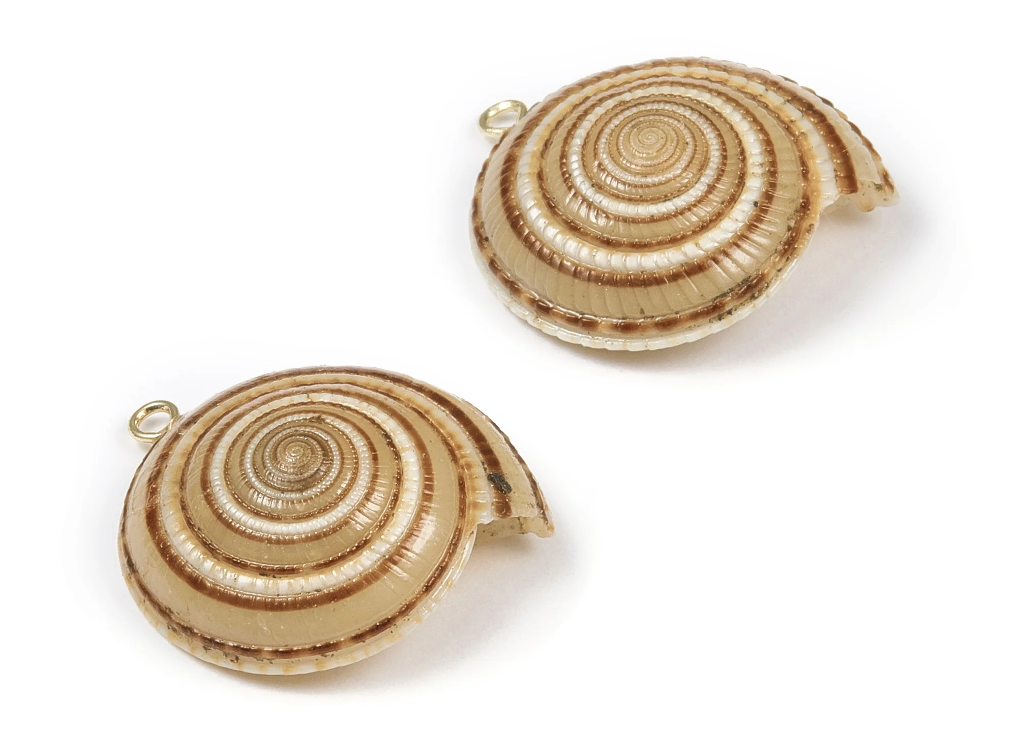 Подвески с раковинами серьги ракушки и кулон амулеты натуральная ракушка 2