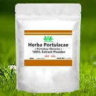 50-1000 г, экстракт Herba Portulacae, порошок экстракта портулака, гемостатический, антибактериальный