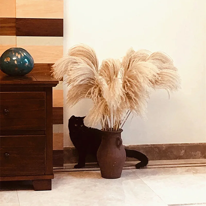 

Natural Dried Pampas Grass Phragmites Communis Reed Plants Wedding Flower Bunch Home Decor Diy Dried Flowers Pampas Grass 10PCS