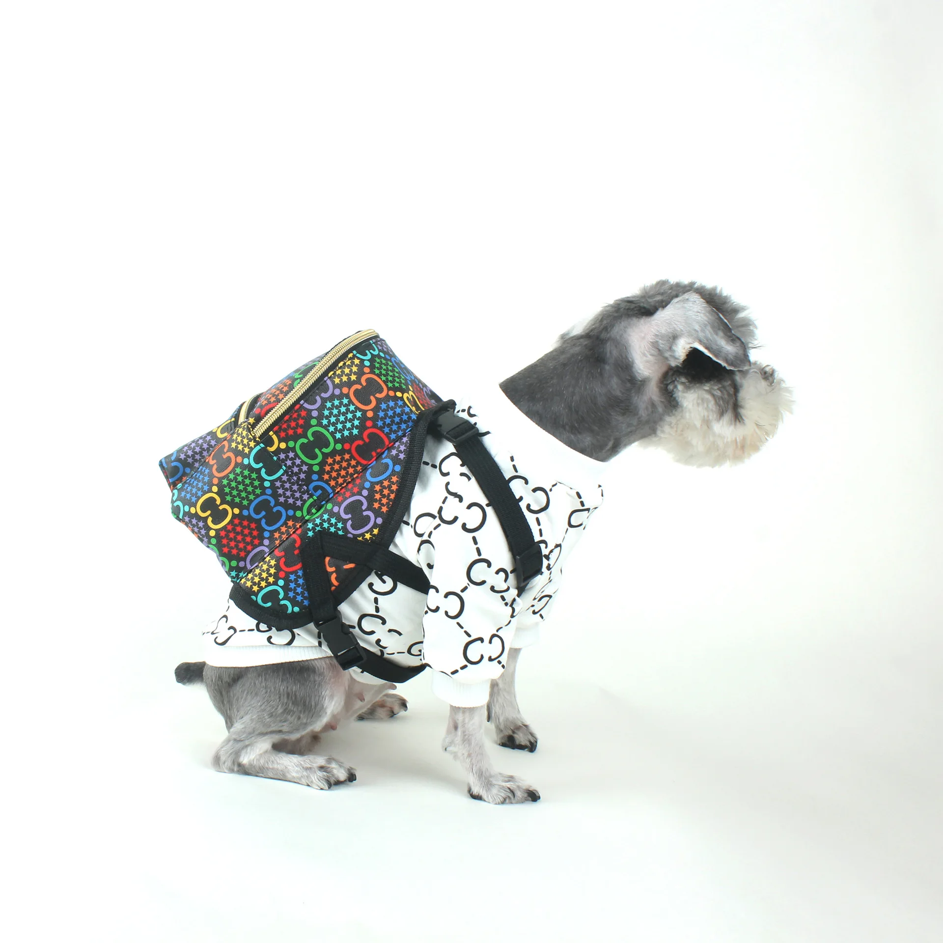Mochila de hombro para mascota, morral escolar peque&ntilde;o y mediano para perros, gatos y perros, mochila de viaje Schnauzer Corgi-1
