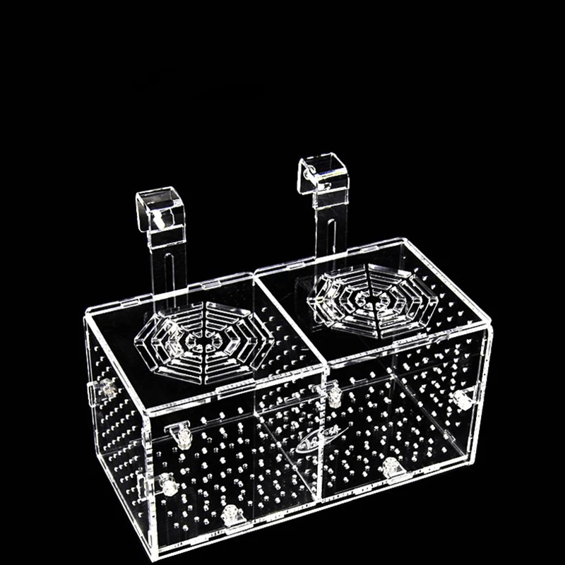 Акриловая изоляционная коробка из перспекса для разведения жареных прозрачные
