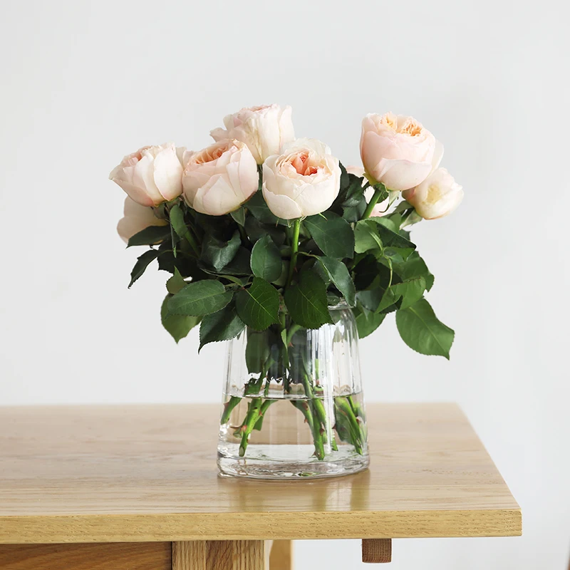

Скандинавские стеклянные вазы, цветы, домашнее растение, Современная Минималистичная Эстетическая ваза, украшение для гостиной, домашний д...