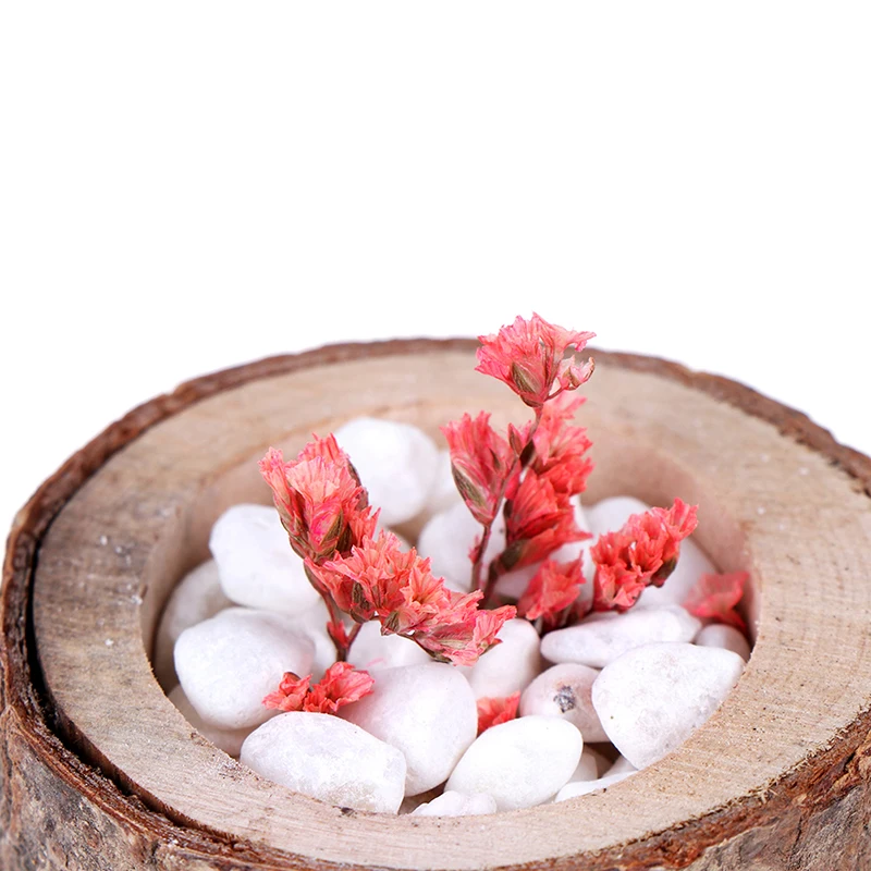 

Wood Flowerpot For Succulent Planter Candle Stand Indoor Pot Decoration Creative Ornament 3size to choose