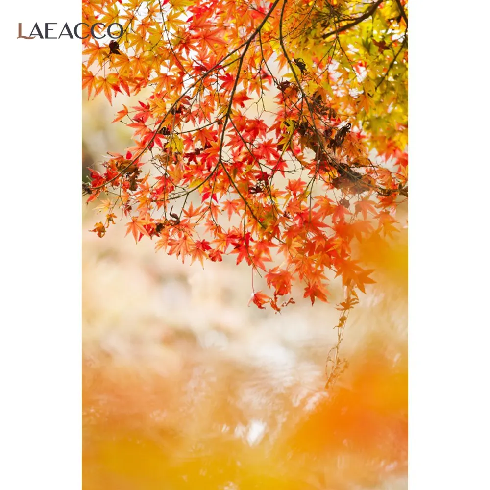 

Laeacco Autumn Fallen Golden Leaves Trees Photocall Hazy Real Scene Backdrop Photographic Backgrounds Baby Portrait Photo Studio