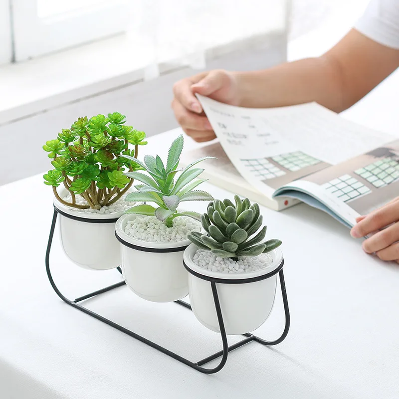 Современные белые керамические цветочные горшки с золотистой черной железной