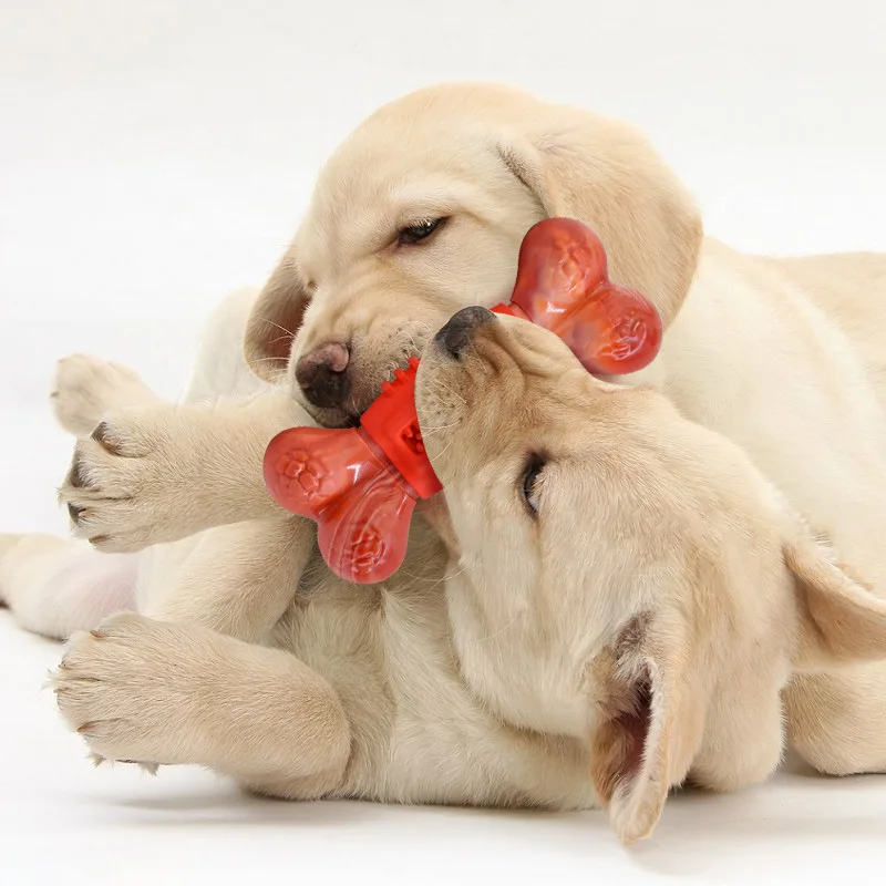

Dog Toys Pet Accessories Bone Antistress Products Best Selling Teething Aggressive Chewing Intimate Rubber Interactive Large