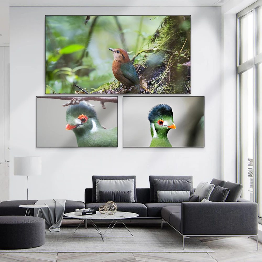 

Animal oil painting emerald green bird canvas painting office living room corridor home decoration mural