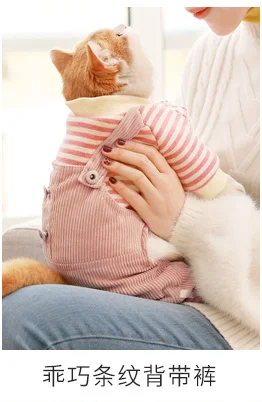 Ветрозащитный Свадебные платья с изображением кота костюм Одежда для домашнего