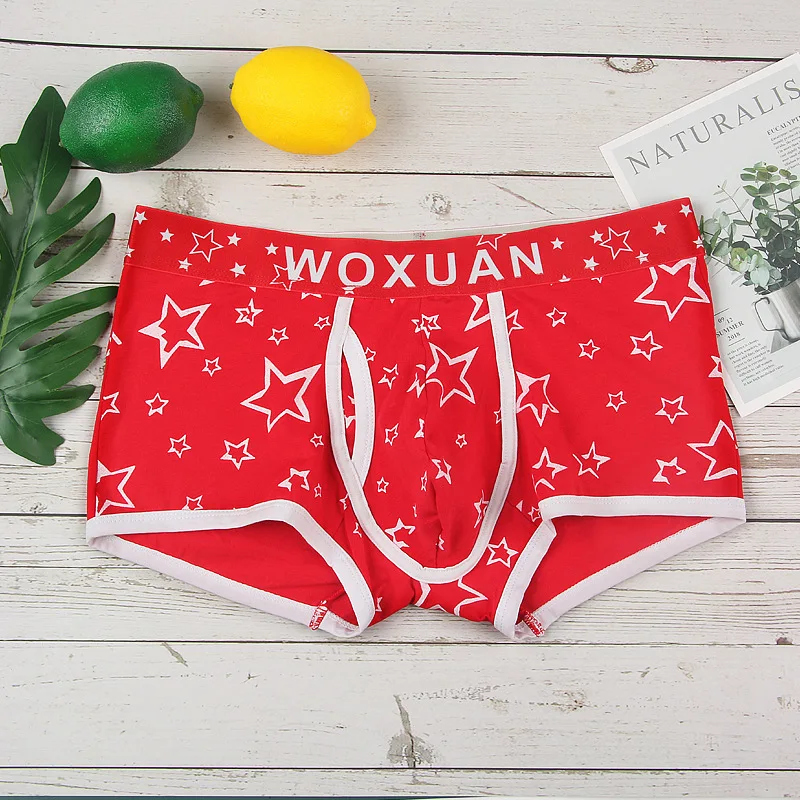 Wholesale Men's Boxer Shorts Sexy Printed Underwear Lingerie 6pcs/pack Mens Penis Pouch Boxers Trunks Soft Underwear M-XXL