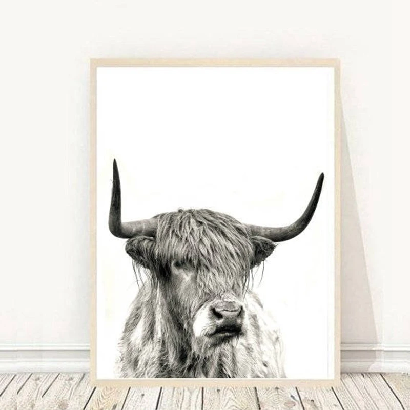 Домашний Декор живопись Highland Bull холст печать постер с животными на ферме