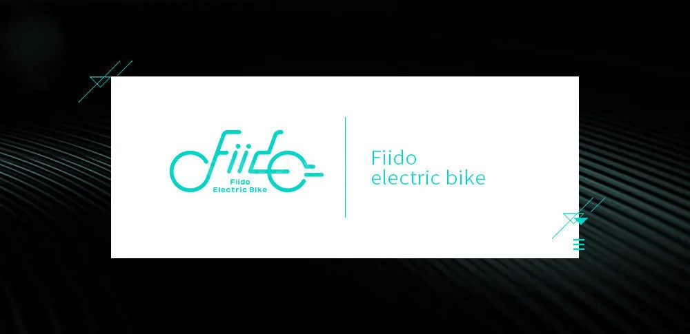 Fiido D1 Folding Electric Bike Two Wheels Electric Bicycle 14 Inch 36V 250W Mini Adults Electric Scooter With Seat