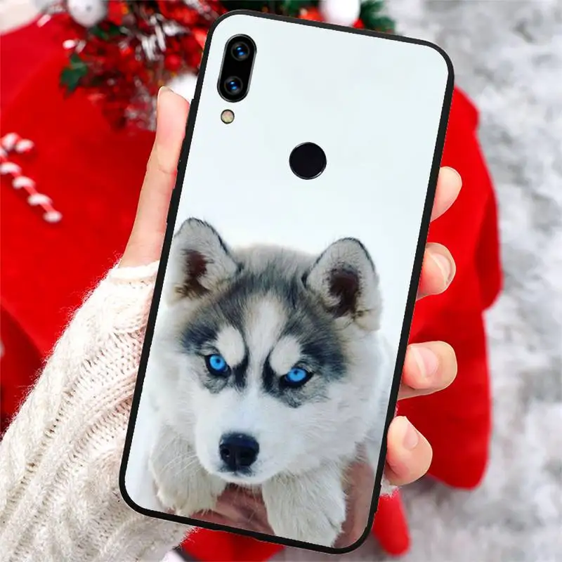 

Cute animal husky lovely dog Phone Case For Xiaomi Redmi note 7 8 9 t k30 max3 9 s 10 pro lite cover funda coque
