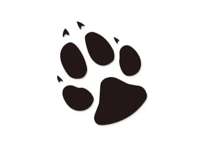 

Wolf Claw Footprint Car Sticker Window Vinyl Reflective Windshield Decal Auto Motorcycle for Styling KK 14x11cm