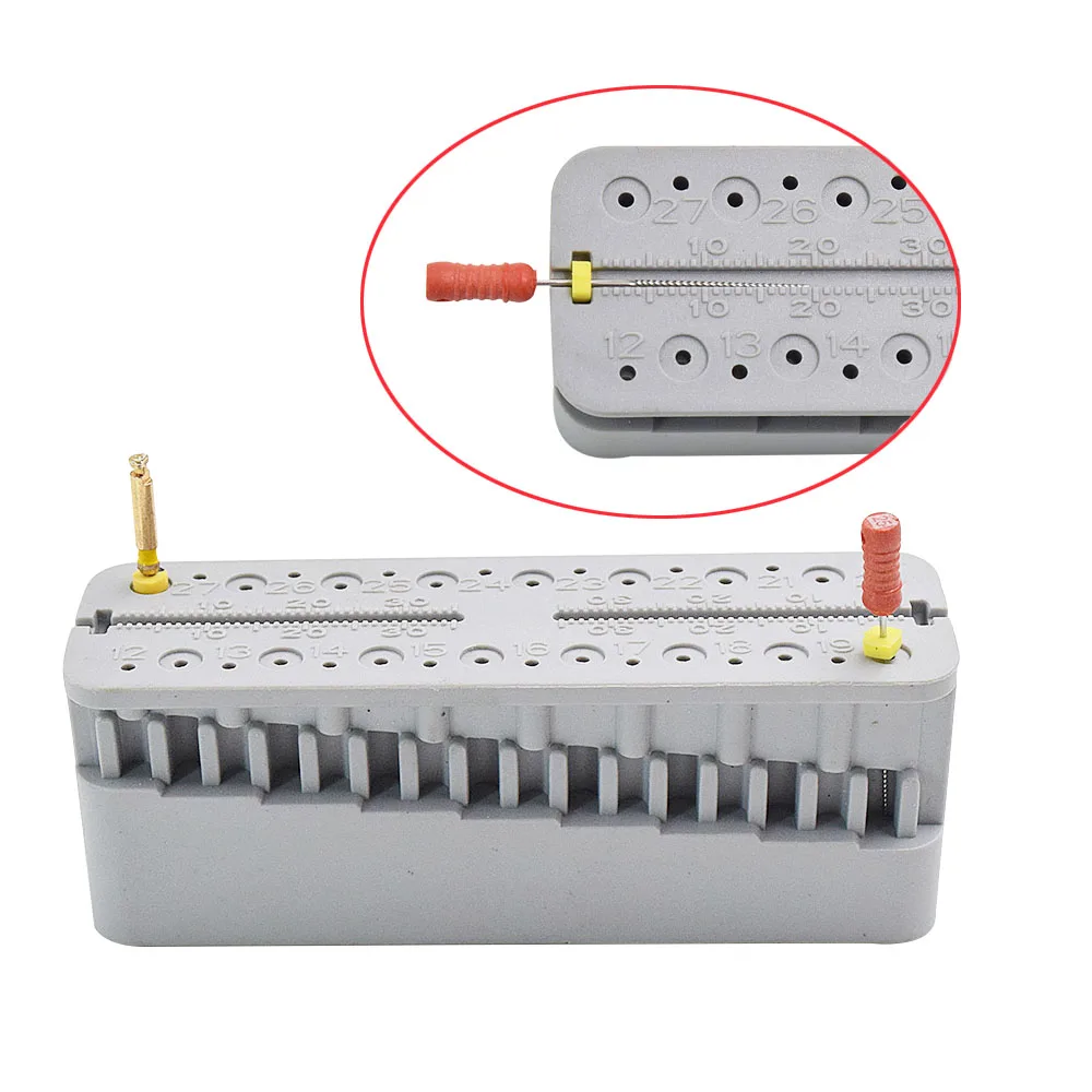 1 шт. эндододонтическая линейка для измерения эндонтических блоков|Модель зубов