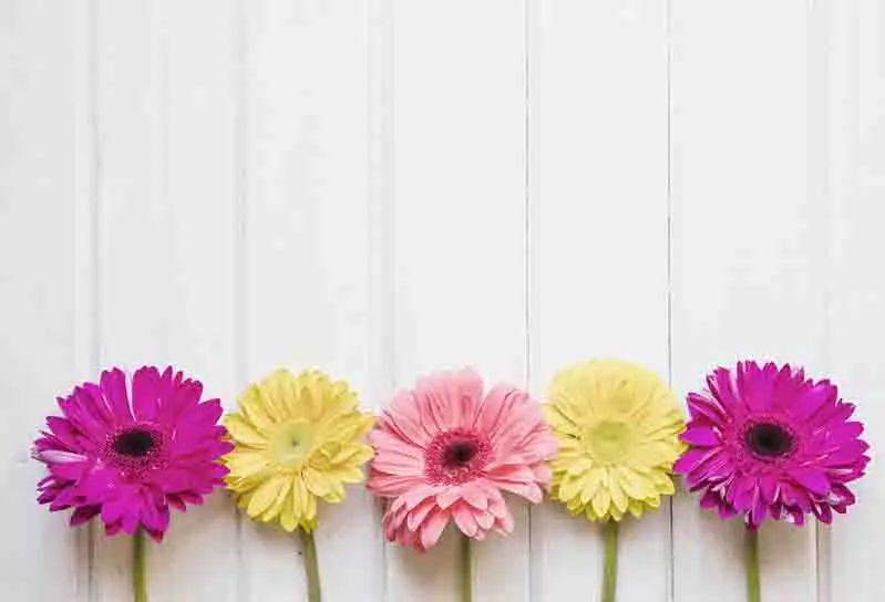 

SHENGYONGBAO Vinyl Custom Photography Prop Flower Wood Planks theme Photo Studio Background S191025-2829