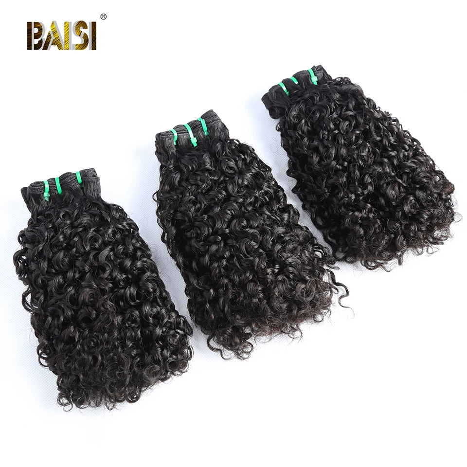 BAISI волосы индийские Pissy curl 100% человеческие бесплатная доставка|Пряди для
