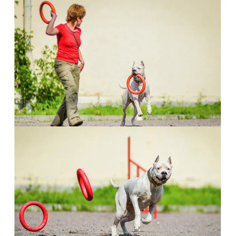 Собака учебный диск укус собаки устойчивы обучение игрушечный щенок нетоксичны