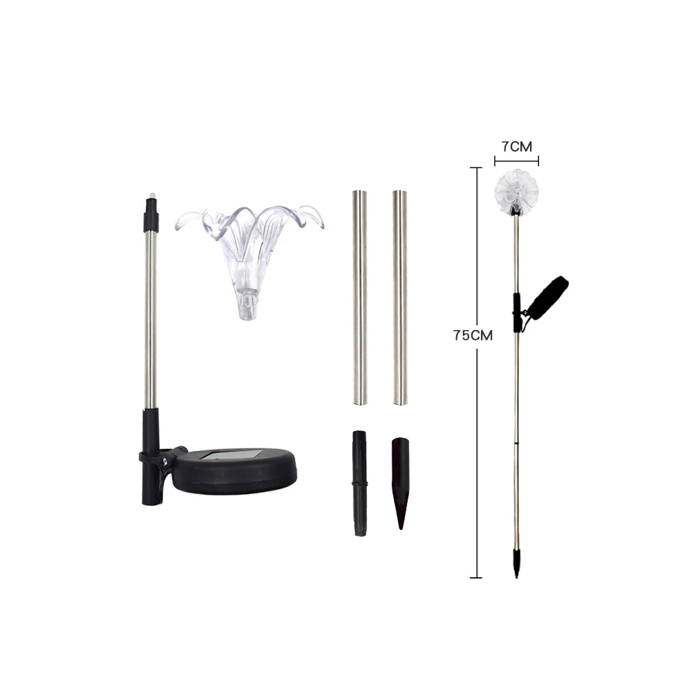 

Outdoor Lighting