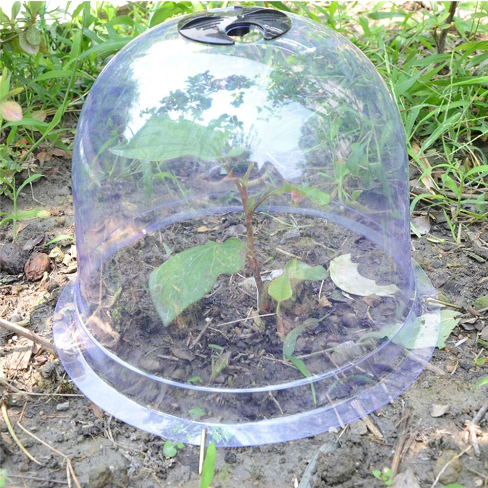

6 Pcs House Protective Garden Dome Reusable Plastic Small Plants Protection Covers Frost Guard Freeze Protection For Plants