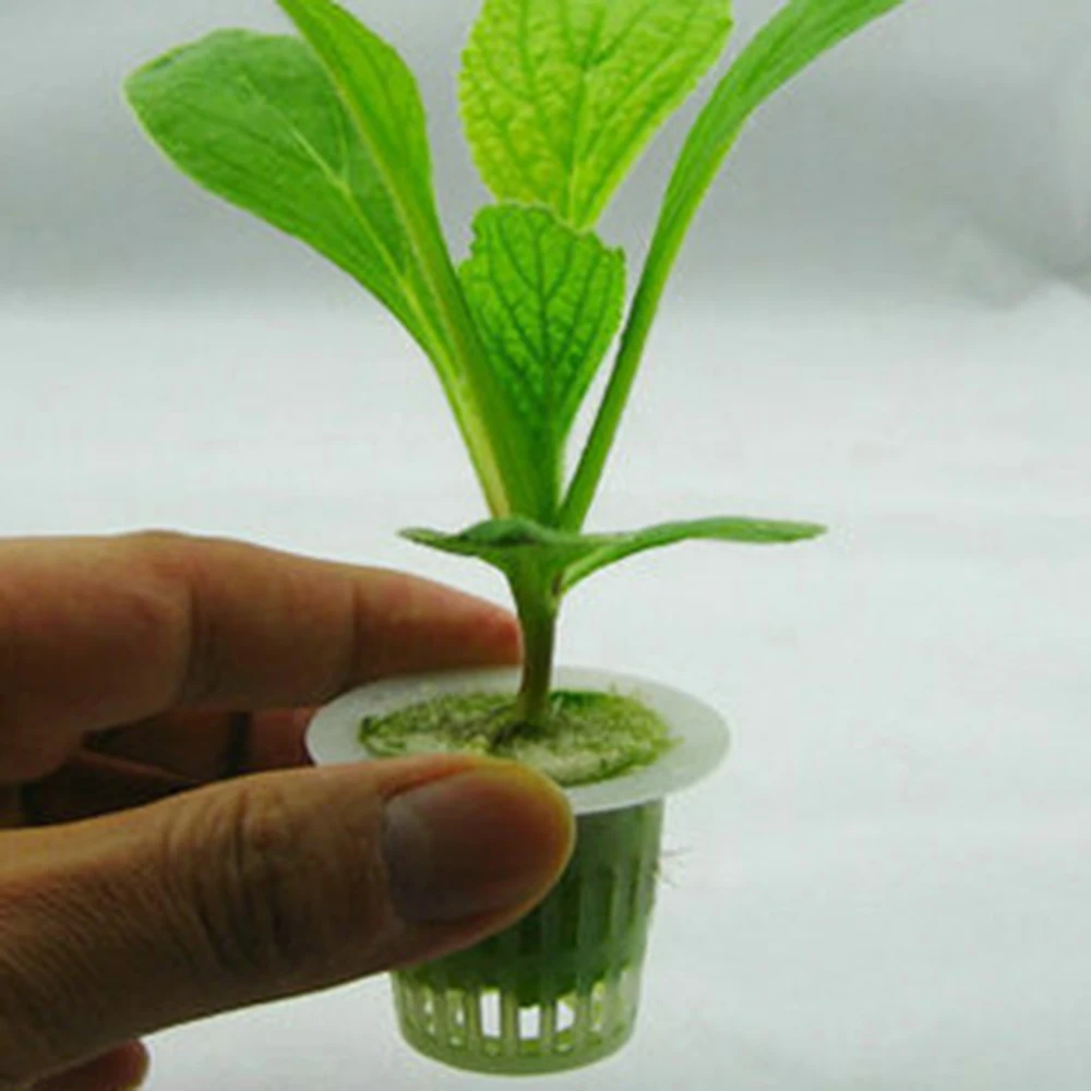 10 шт. сетчатый горшок чистая чашка корзина + губка гидропоники аэрофонное