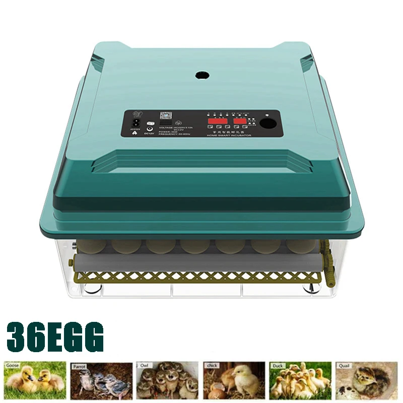 

Полностью автоматический инкубатор на 36 яиц, цифровой инкубатор двойной мощности, инкубатор для цыплят, домашняя ферма с интеллектуальным ...
