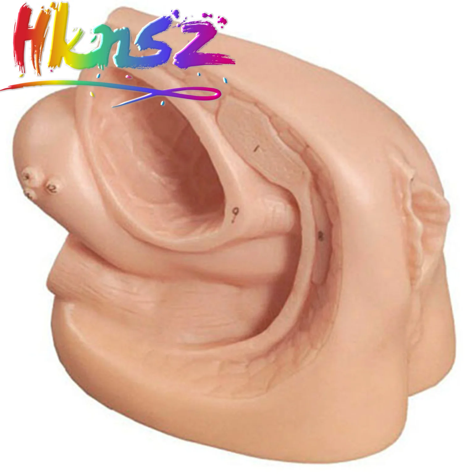 

Educational Equipment & Supplies