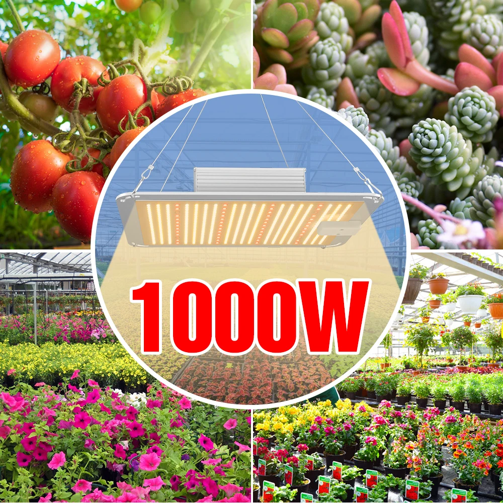 

LED Grow Light 1000W 2000W 4000W Fitolampy 220V Phyto Lamp LED Full Spectrum Plant Light For Flowers Hydroponics Seed Growing
