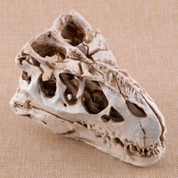 tyrannosaurus t rex dinosaur skeleton resin fossil skull model collectibles model craft display animal research decor