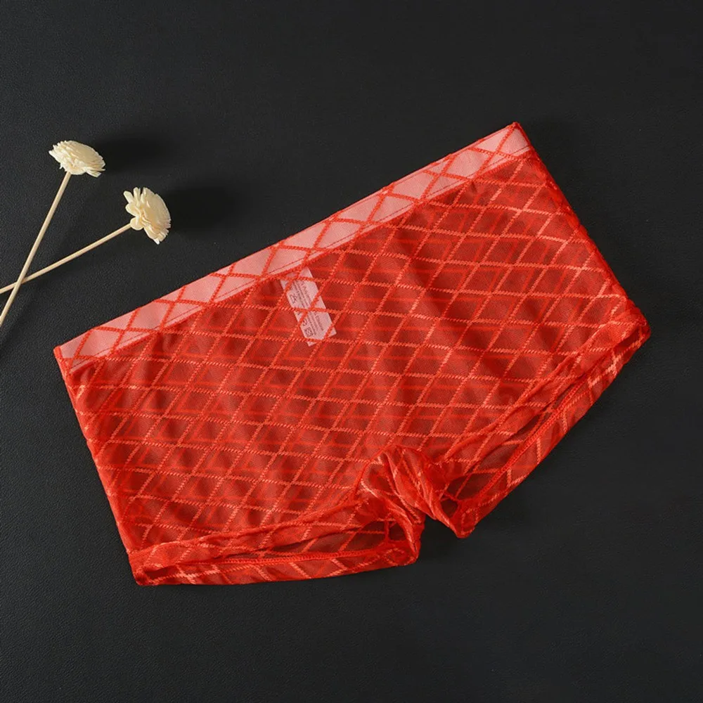 

Lingerie Briefs Mens Mesh Pouch Print See Through Sheer Shorts Soft Thin