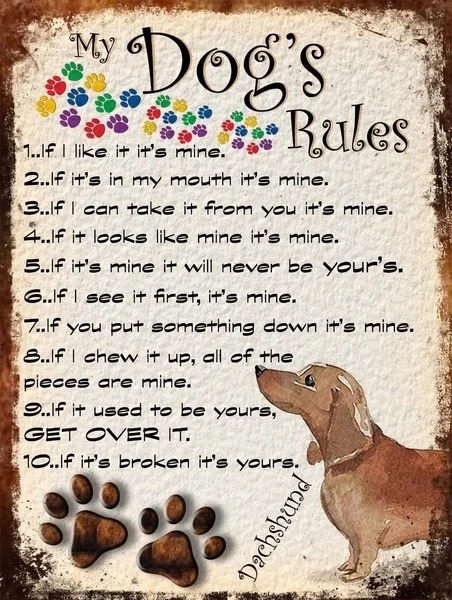

Retro tin paintings My Dog's Rules Retro Style Metal Tin Sign/plaque Daschund Theme