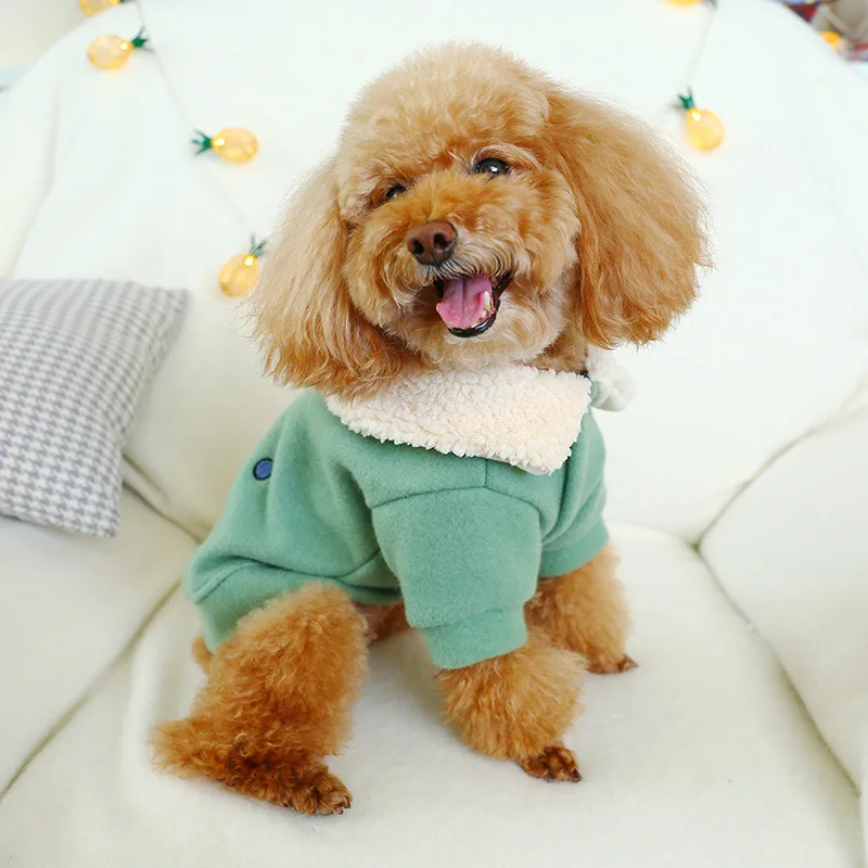 2019 зеленая зимняя одежда для собак воротник из искусственного меха теплое пальто