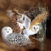 full squareround drill 5d diy diamond painting animal owl scenery 3d embroidery cross stitch 5d home decor