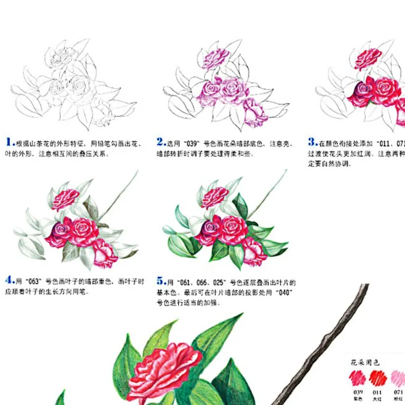 Цветной карандаш с цветами едой фруктами животными | Канцтовары для офиса и дома