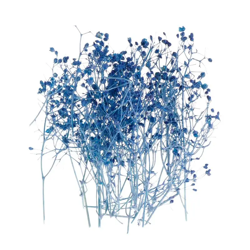 1 коробка наполнитель для цветов из эпоксидной смолы|Ювелирная фурнитура и